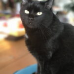 Bo verabschiedet sich in Mexiko von uns… Bo verabschiedet sich in Mexiko von uns...