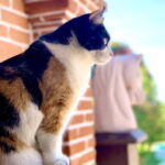 Frank möchte nach Paraguay… Frank möchte nach Paraguay...