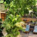 Hier kann man gut chillen im mexikanischen Garten… Hier kann man gut chillen im mexikanischen Garten...