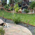 Es gefällt ihm sehr… Es gefällt ihm sehr...