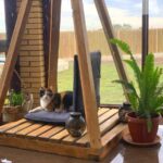 Frank in der Pyramide Frank in der Pyramide