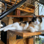 Frank ist begeistert von seinem Haus, er ist ganz perplex! Frank ist begeistert von seinem Haus, er ist ganz perplex!