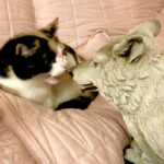 Frank legt sich mit einem Wolf an. Nein, kein Blut… Lippenstift! Frank legt sich mit einem Wolf an. Nein, kein Blut... Lippenstift!