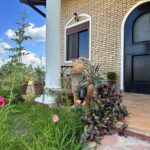 Der Hauseingang zum Haus, bewacht von Löwen… Der Hauseingang zum Haus, bewacht von Löwen...