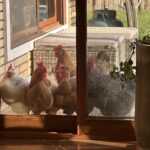 Wann kommt denn die Apokalypse? Wann kommt denn die Apokalypse?