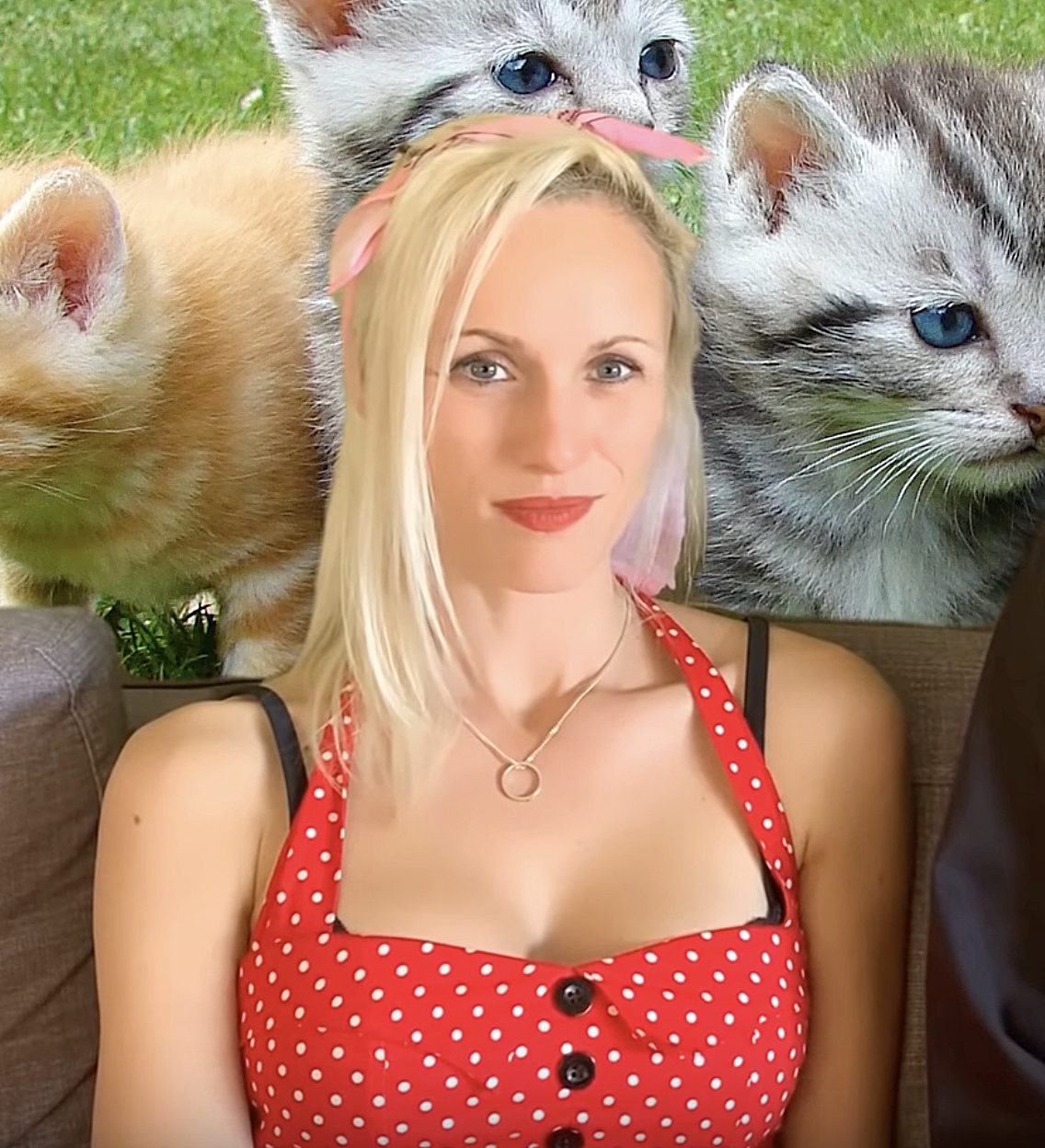 Schnappschuss für ein Video über Katzen Schnappschuss für ein Video über Katzen