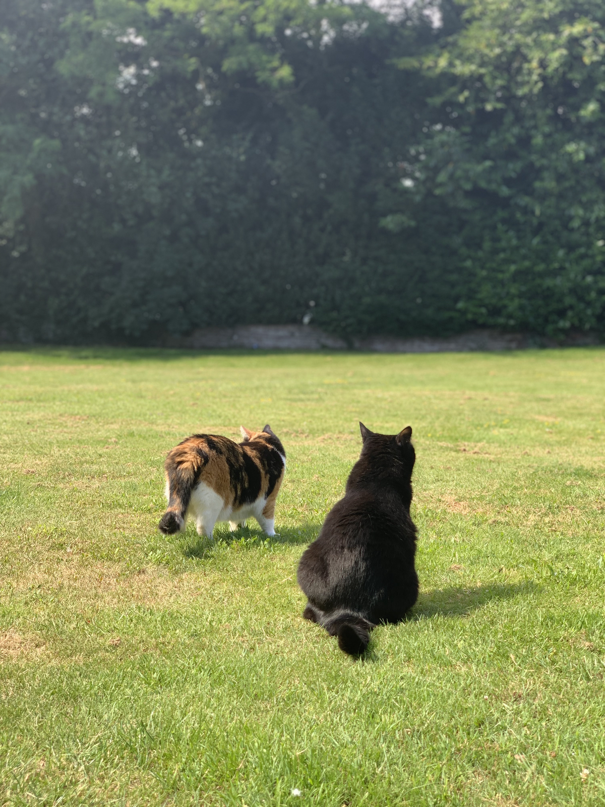 Frank und Sohn Bo erkunden die Gegend… Frank und Sohn Bo erkunden die Gegend...
