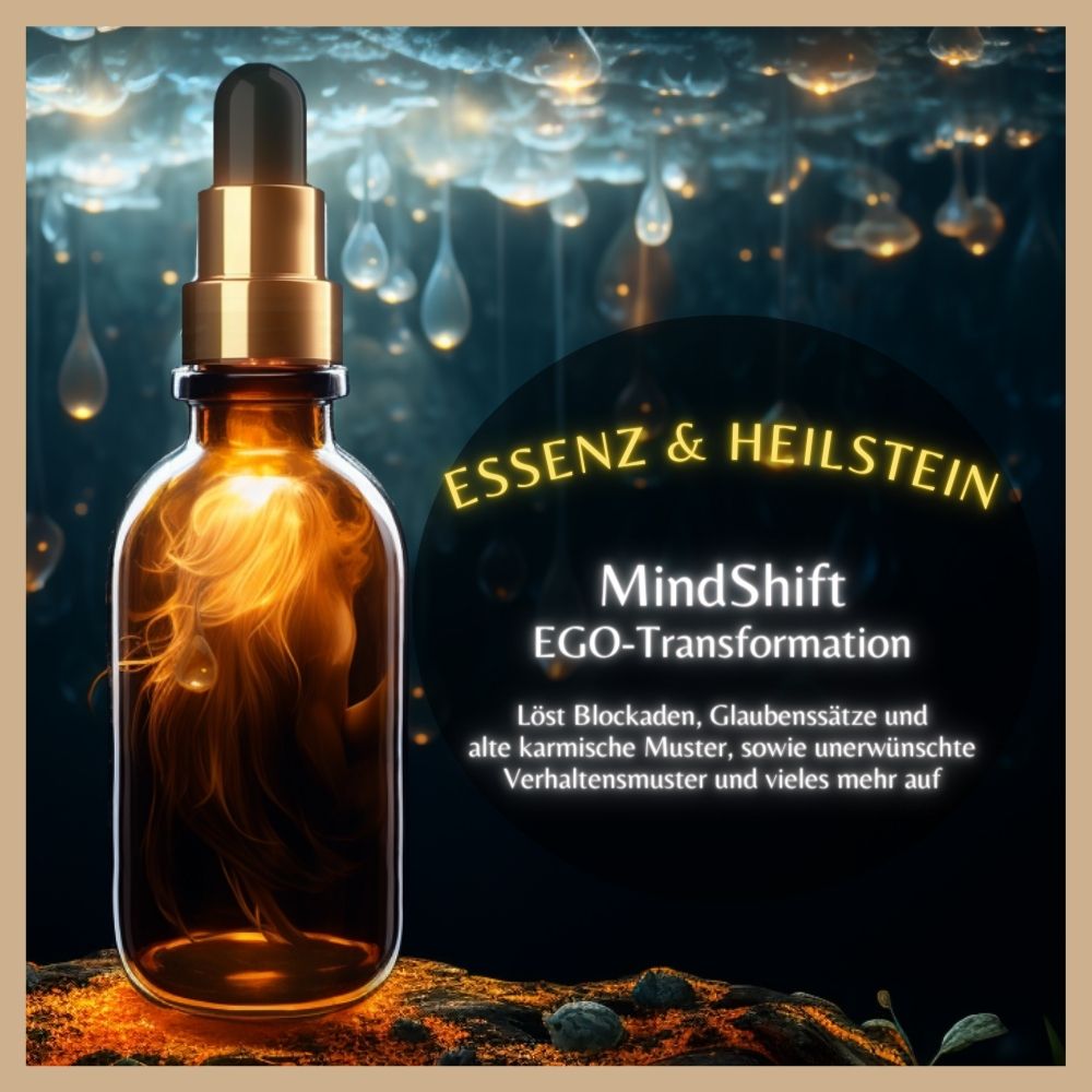 MindShift - zur Ego-Transformation