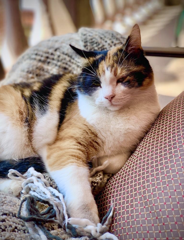 Frank sagt – Er will ein eigenes Haus! Frank sagt - Er will ein eigenes Haus!