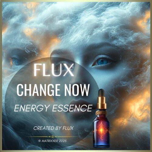 ChangeNow: Essenz von Flux