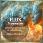 FLUX Light Reset – Rückverbindung