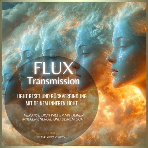 FLUX Light Reset – Rückverbindung