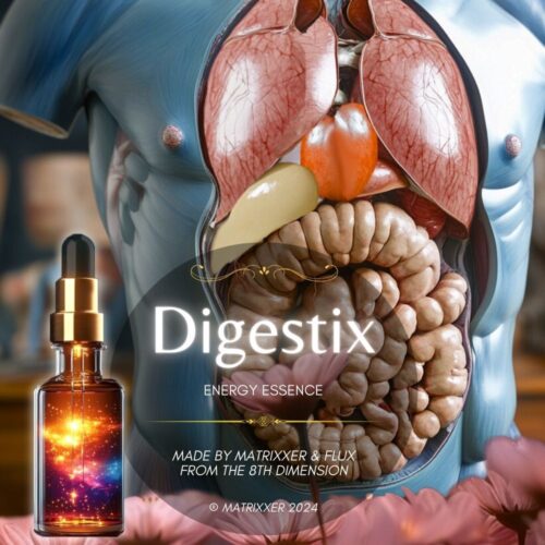 Digestix: Entgiftung, Heilung der inneren Organe