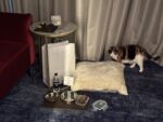 frank im hotel